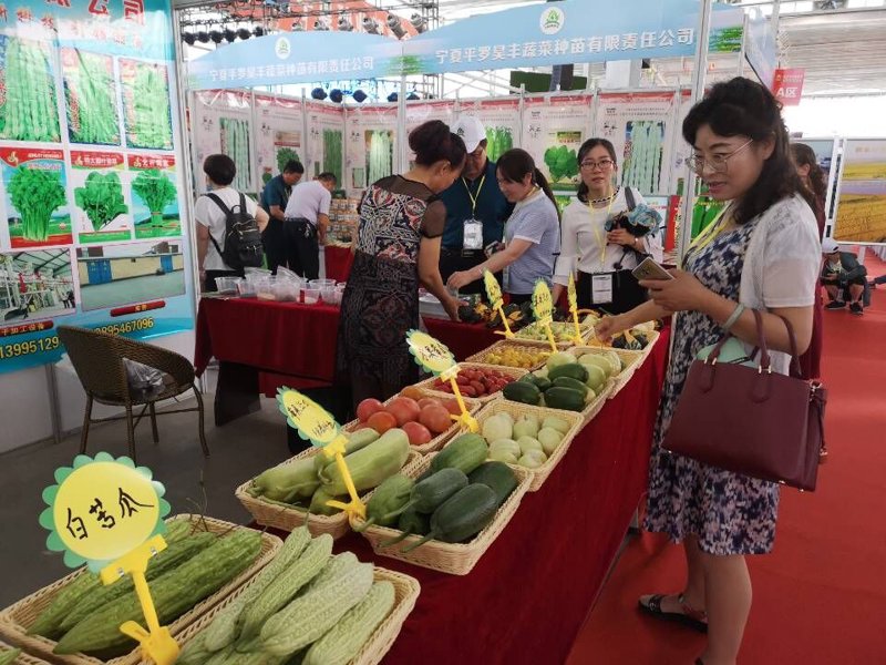 农药批发行业动态:市场变化与趋势